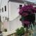 &quot;JELE AND LUKA&#039;S GUESTHOUSE&quot;, private accommodation in city Dubrovnik, Croatia - Ukrasno drvo